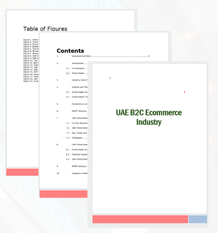 Industry Report Sample